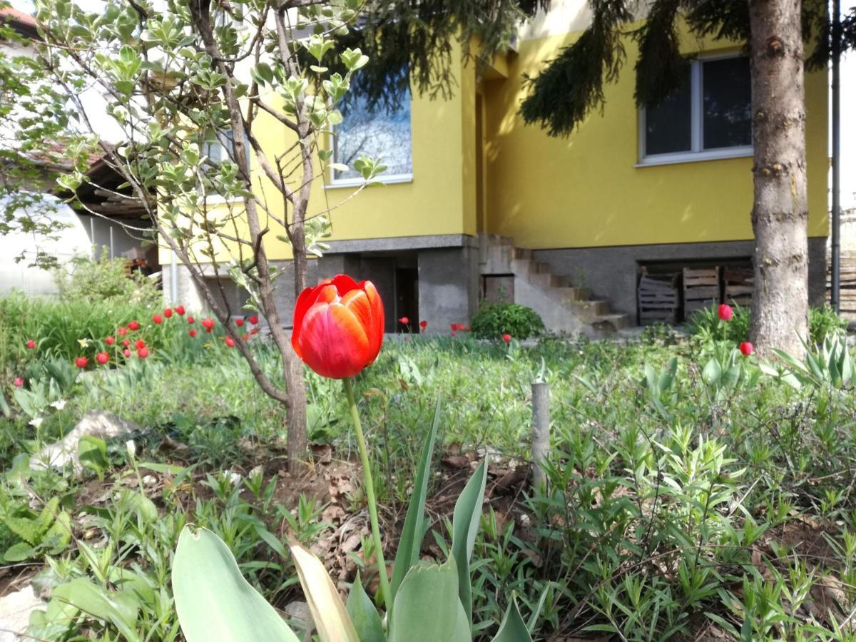 Стаи За Гости "Дом Градина Вита" / Guest Rooms “House Vita Garden” Sofia Eksteriør billede